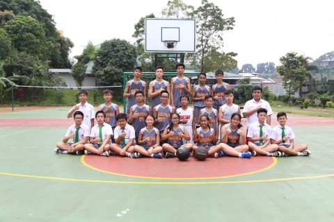 Team Basket